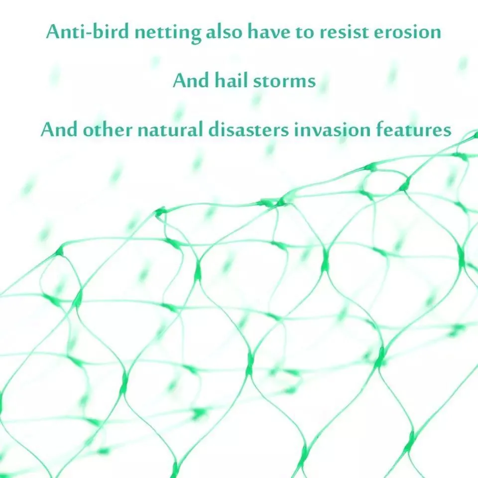 Durable Green Garden Bird Net Plastic Net