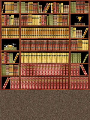Executive Bookcase Printed Photography Backdrop