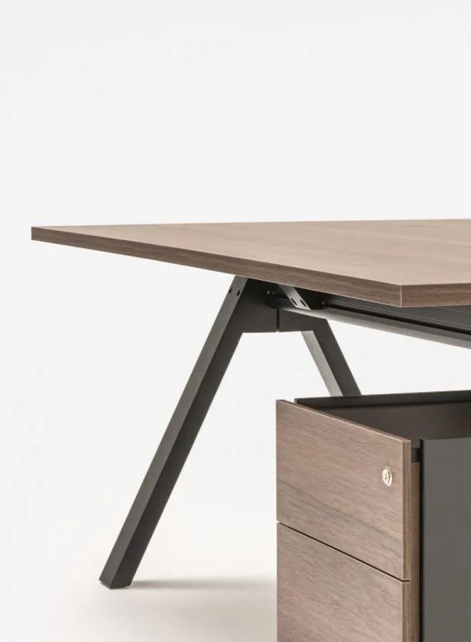 Viga Executive Desk with Pedestal