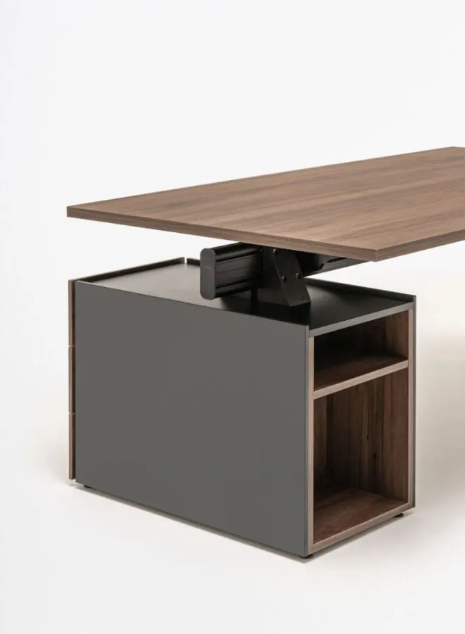 Viga Executive Desk with Pedestal